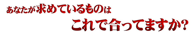 あなたが求めているものはこれで合ってますか？